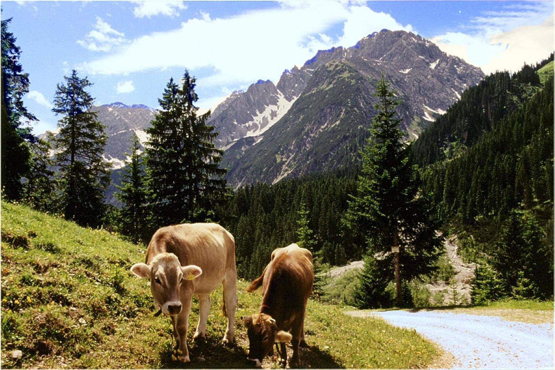 Gasthof Bergheimat Boden Екстериор снимка